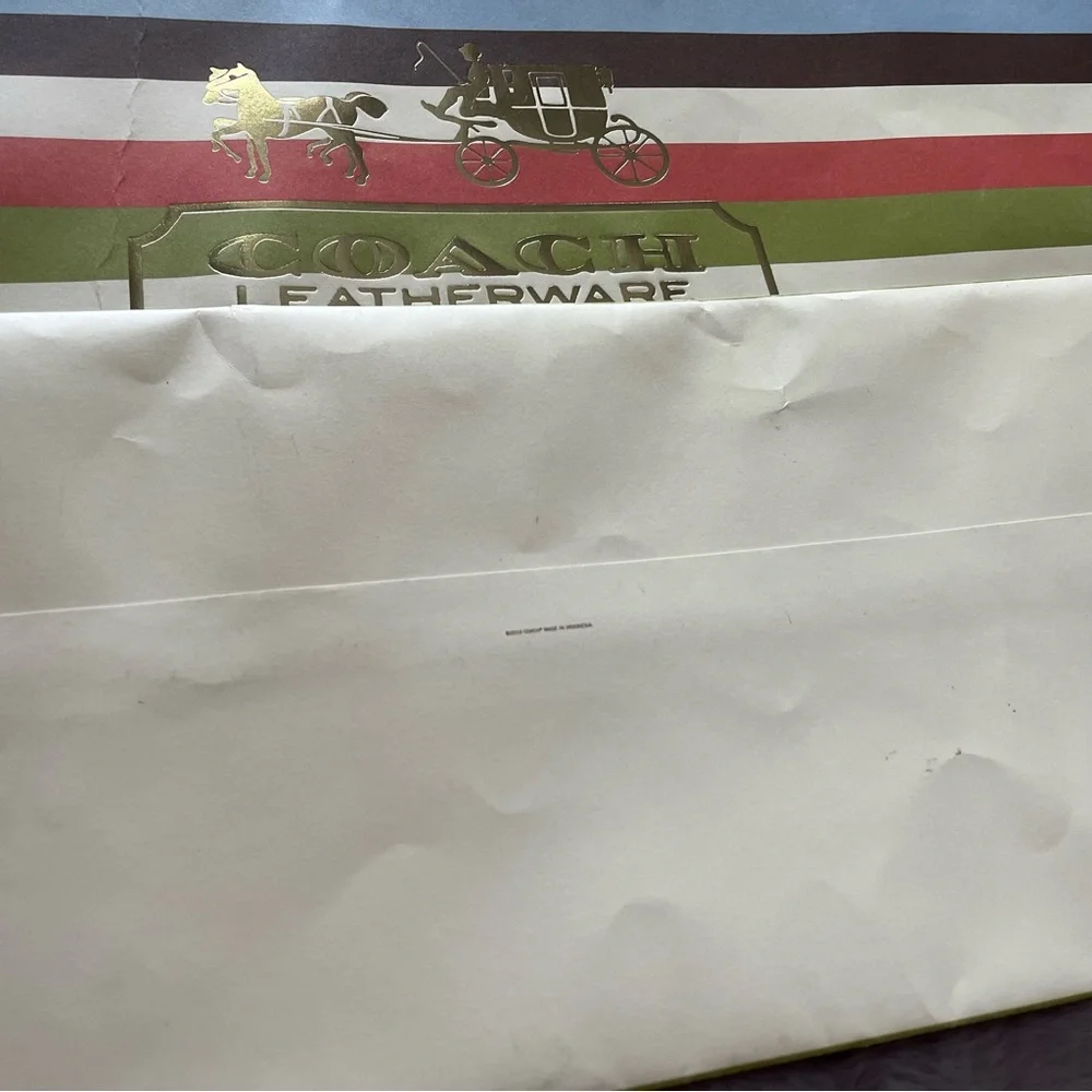 Coach Multicolor Striped XL Gift Box and Shopping Bag B - Picture 7 of 15